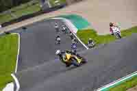 Advanced Group Yellow Bikes